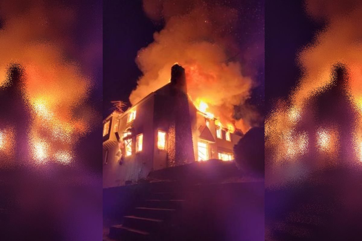 Homem incendeia a própria casa para se livrar de infestação de cobras