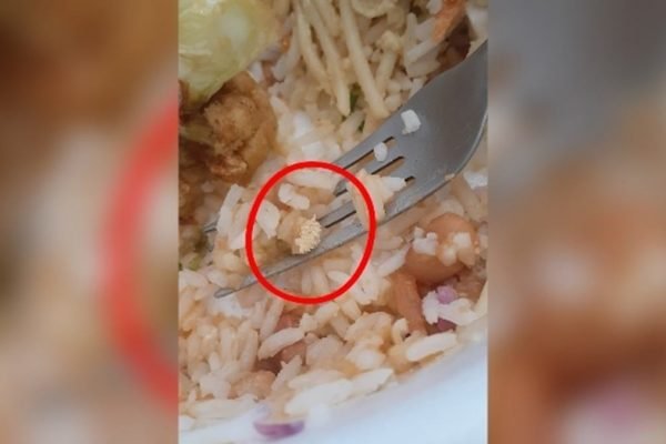 Cliente encontra larvas de moscas em marmita em Dourados
