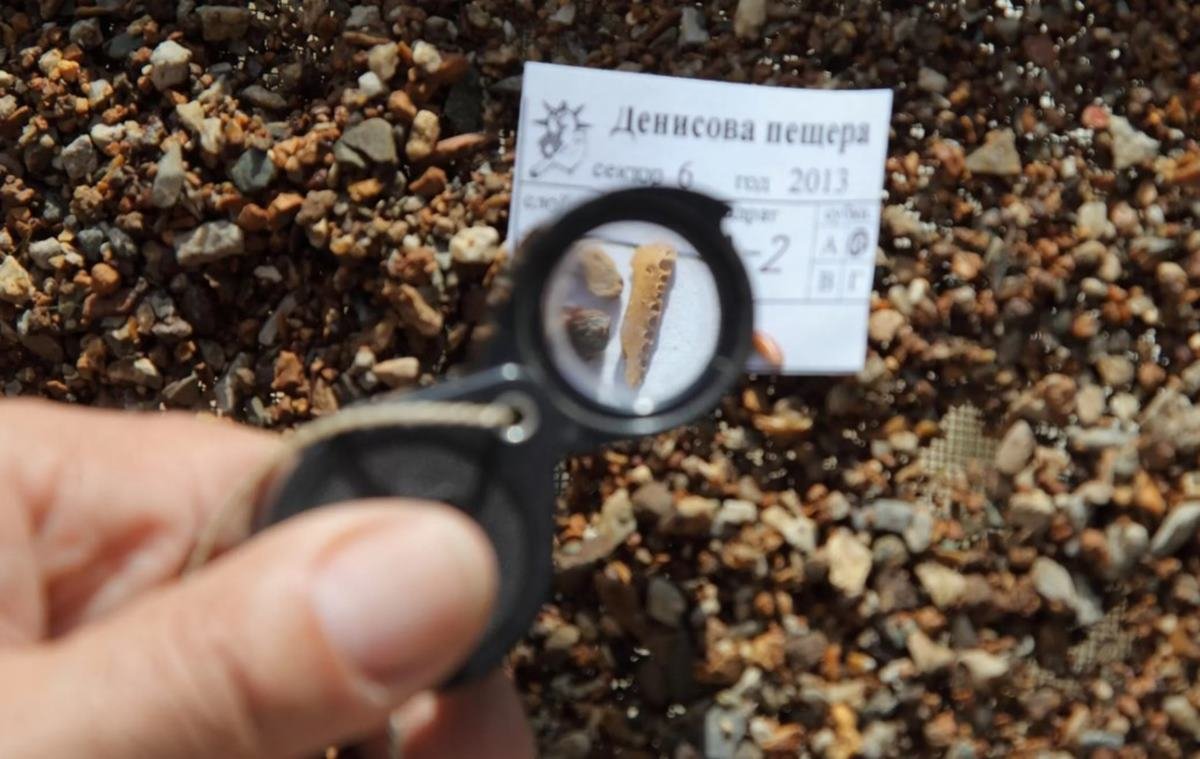 Restos de humanos extintos são descobertos em caverna da Sibéria