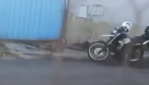cão e roda de moto