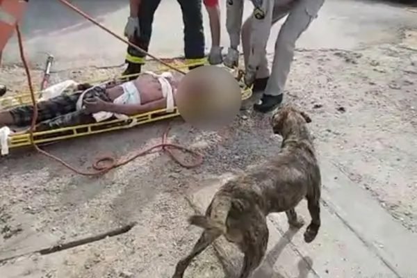 Cachorro espera o dono ser resgatado em Curitiba