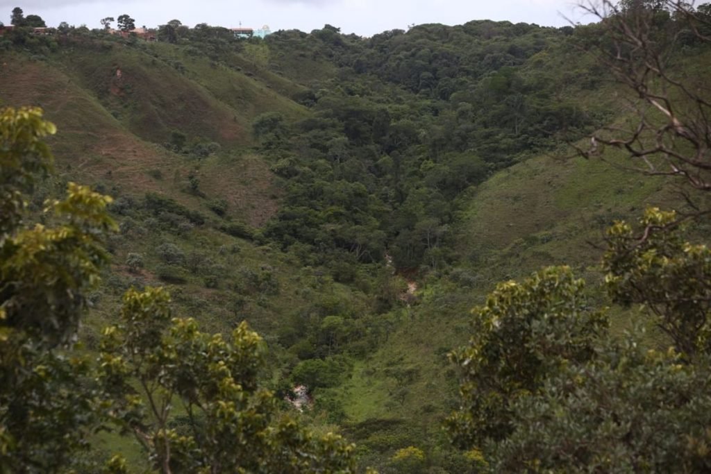 Mulher grávida e filha de 14 anos estão desaparecidas no Sol Nascente