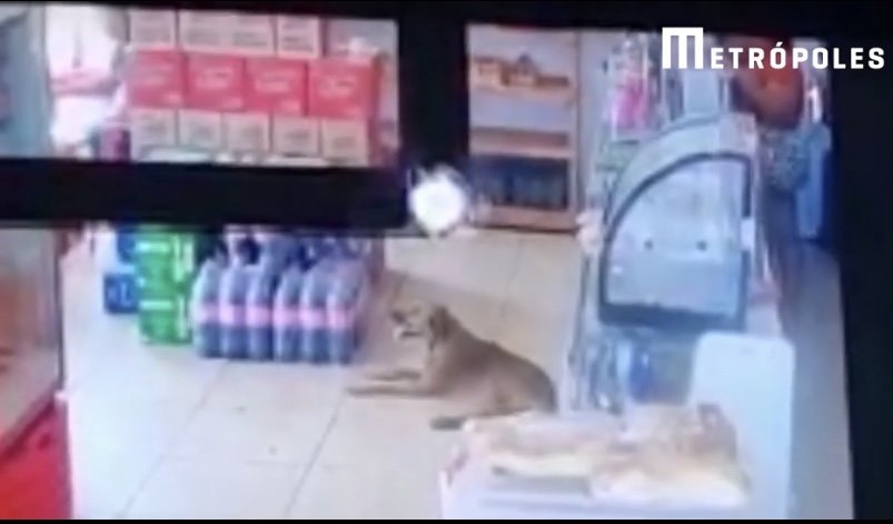 Bandidos atiram contra frequentadores de bar, em Itaboraí (RJ), e matam cinco pessoas