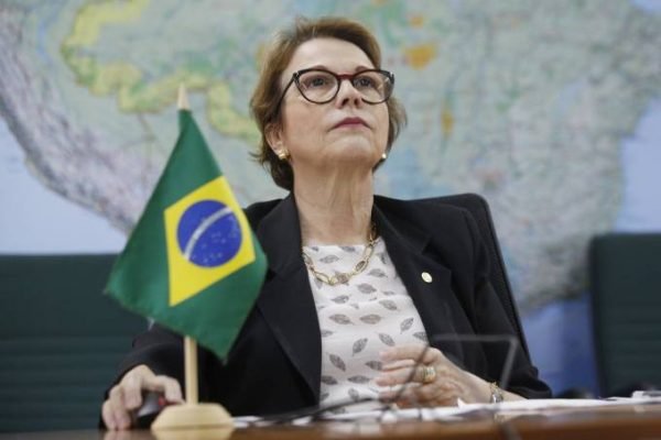 Tereza Cristina, ministra da Agricultura, joga a toalha