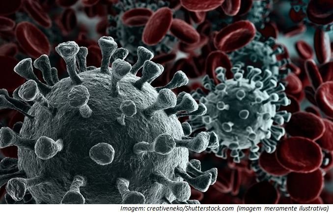 Ilustração colorida.  A imagem representa uma ilustração do coronavírus visto através de um microscópio