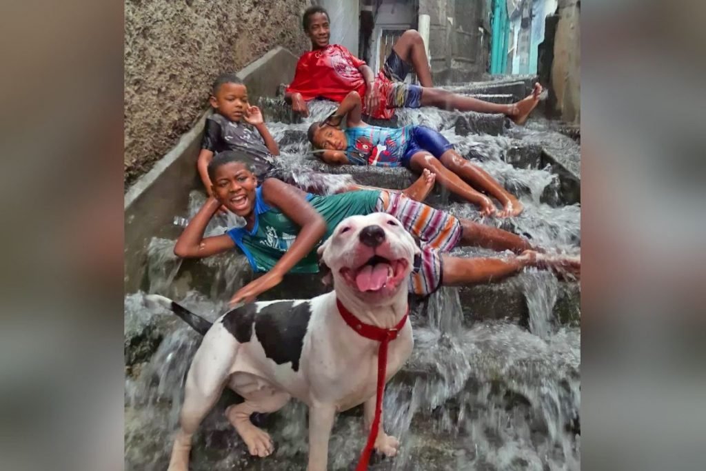 Foto de crianças com cadelinha na chuva no Rio viraliza