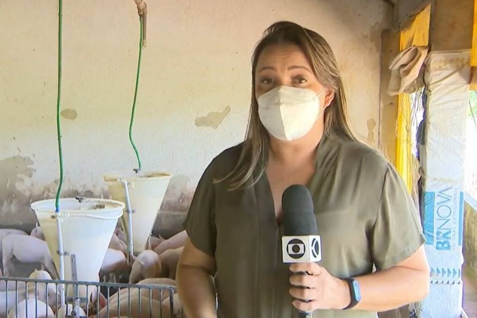 Jornalista da Globo dá 'risada de porco' e vira meme na internet; assista -  Roma News