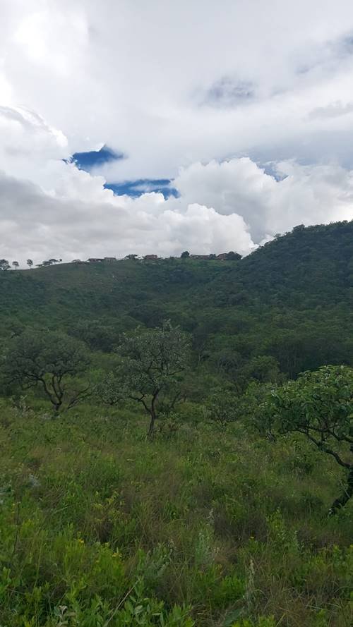 Região de mata no DF, onde foi encontrado o corpo da vítima