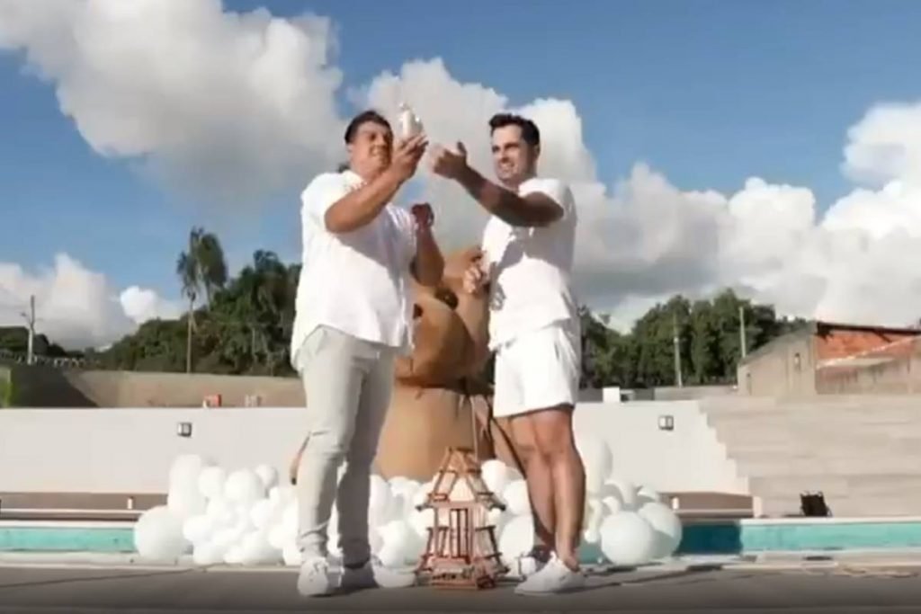 chá revelação casal homoafetivo goiás