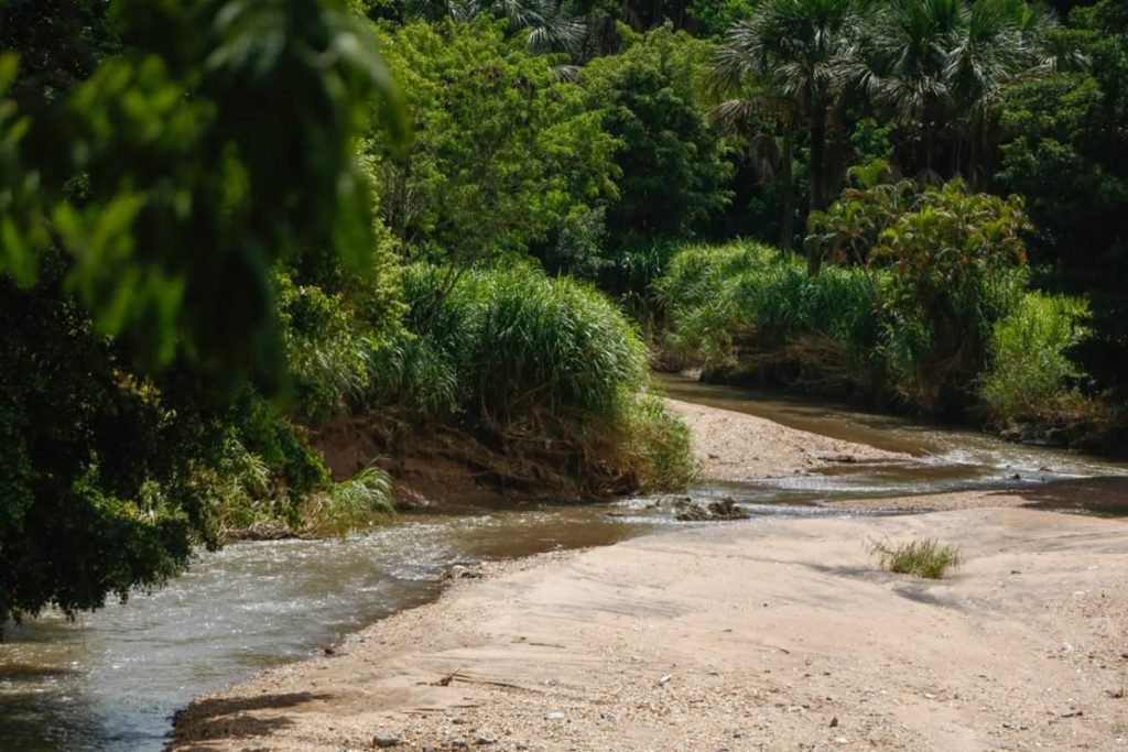 Leito do Córrego Santo Antônio, em Aparecida de Goiânia (GO), onde ônibus caiu após acidente com seis mortes