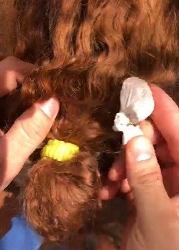 Pedra de crack em cabelo