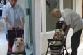 Idoso passeia com cachorro em carrinho de bebê