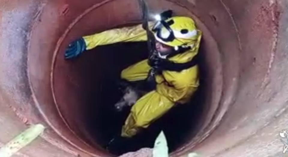 Bombeiros resgata cachorro de cisterna