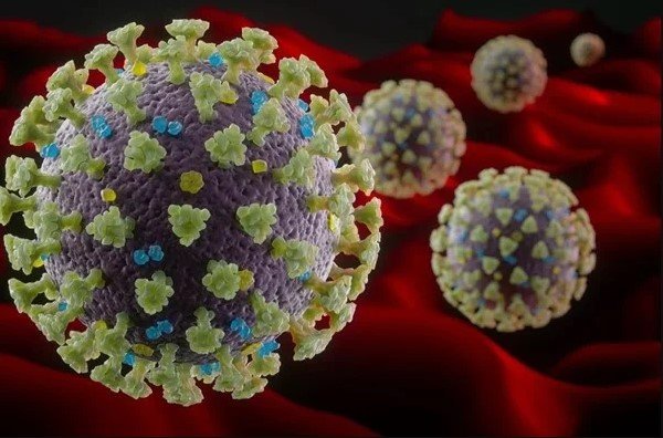 In the colored illustration, different viruses are represented