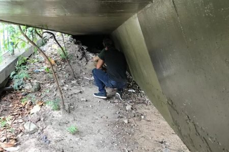 O autor foi localizado junto de uma cadela, na Lagoa Rodrigo de Freitas