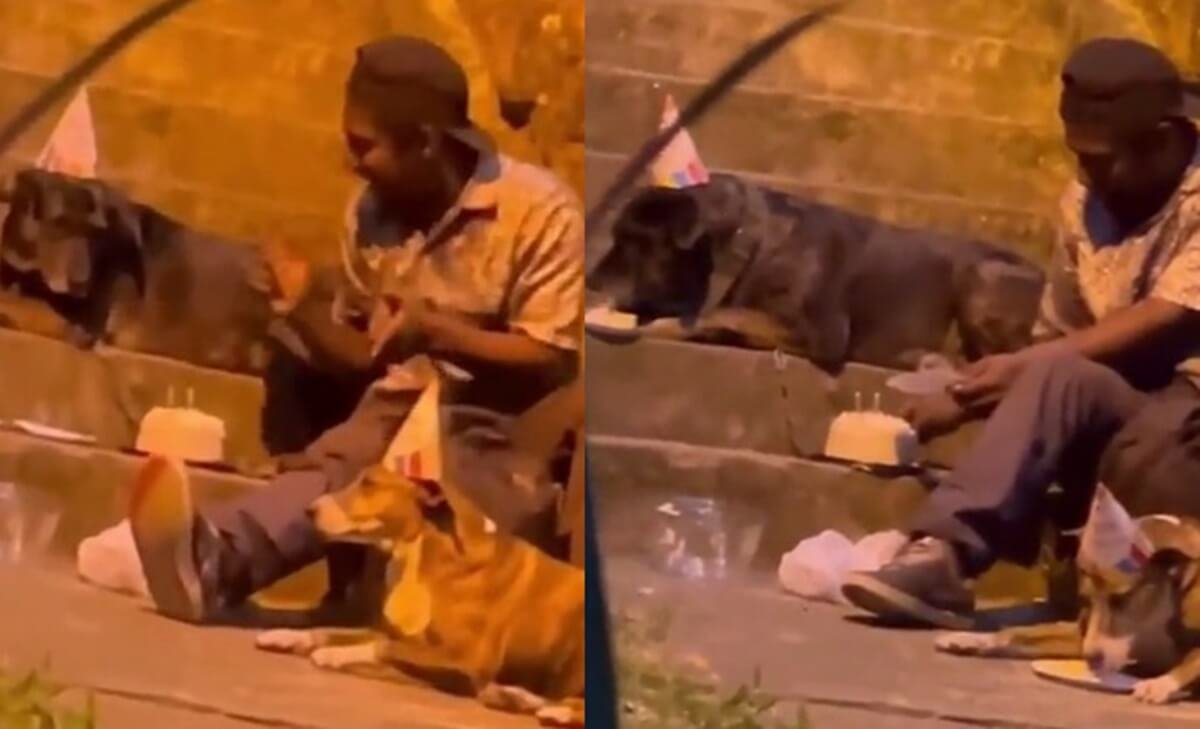 Cachorro comendo a mulheres