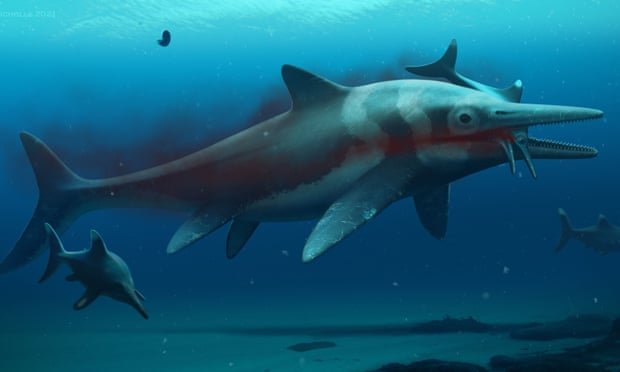 Ictiossauro Temnodontosaurus trigonodon