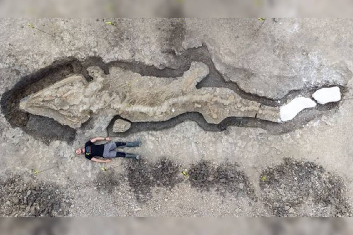 Cientistas encontram gigantesco dragão marinho de 180 milhões de anos