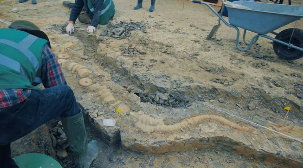 Ictiossauro Temnodontosaurus trigonodon