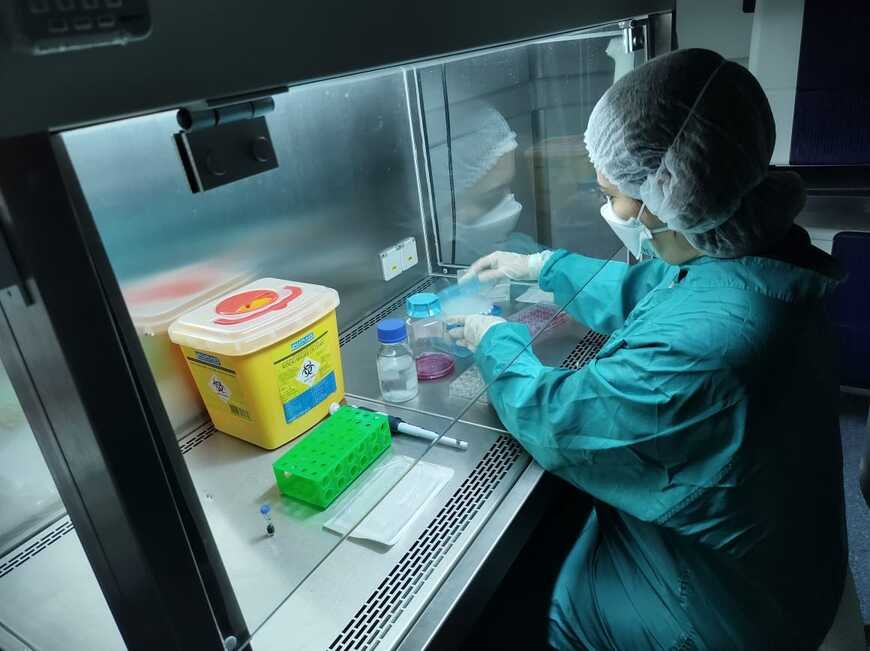 Fotografia colorida de mulher em laboratorio avaliando exames