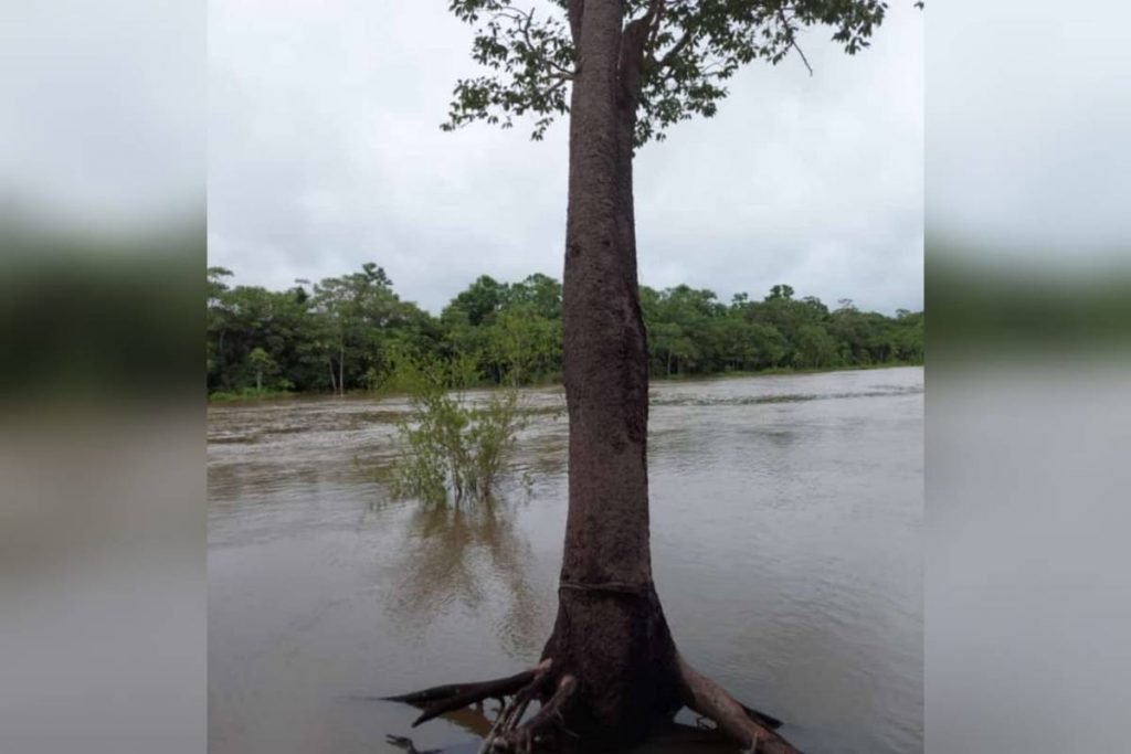 rio araguaia na região da viúva, em nova crixás, goiás, onde antes estava seco