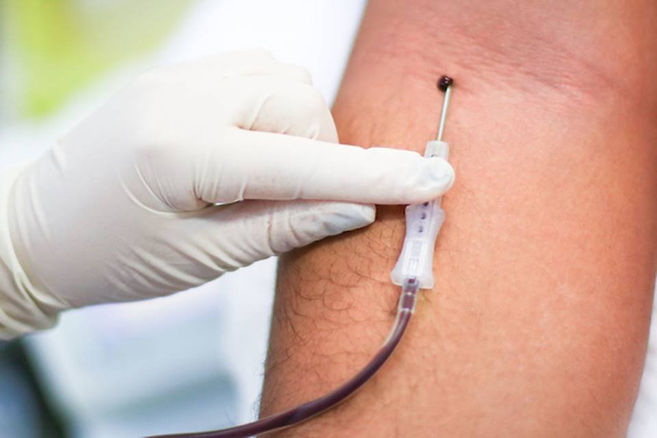 Coleta de sangue para doação
