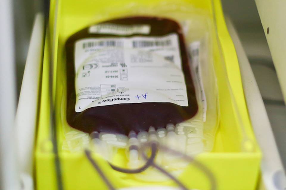 Bolsa de doação de sangue