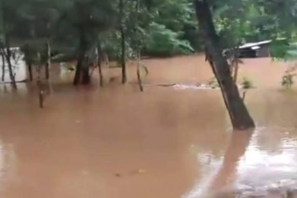 Aldeia é evacuada após cheia do Rio Paraopeba e mais de 40 indígenas ficam desabrigados; saiba como ajudar