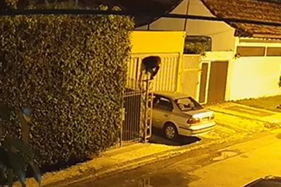 Invasor