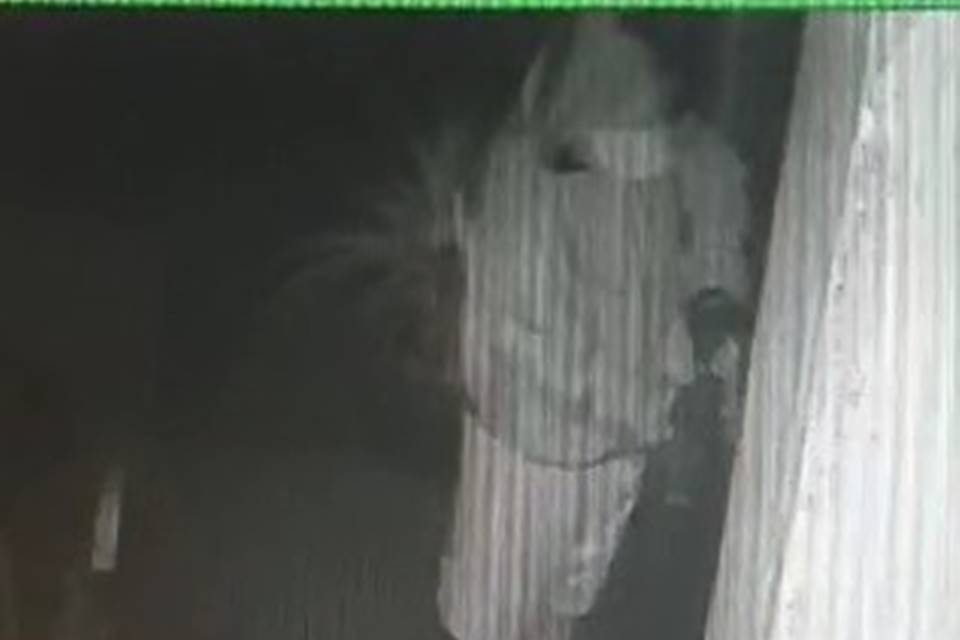 Invasor