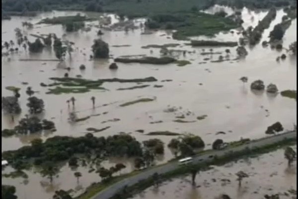 Fotografia colorida de tempestade em região de mata