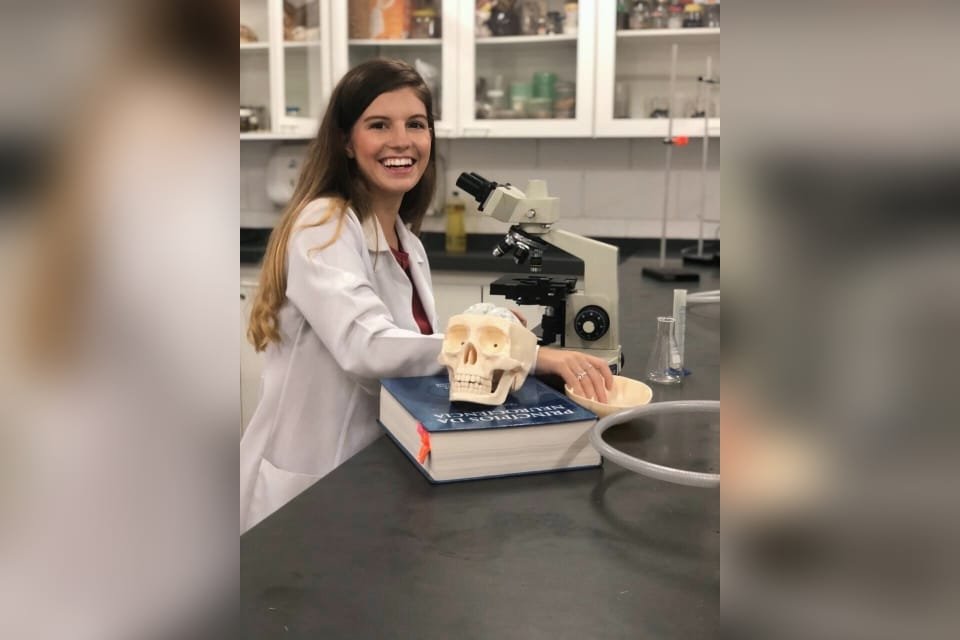 sao paulo estudante descobre asteroides