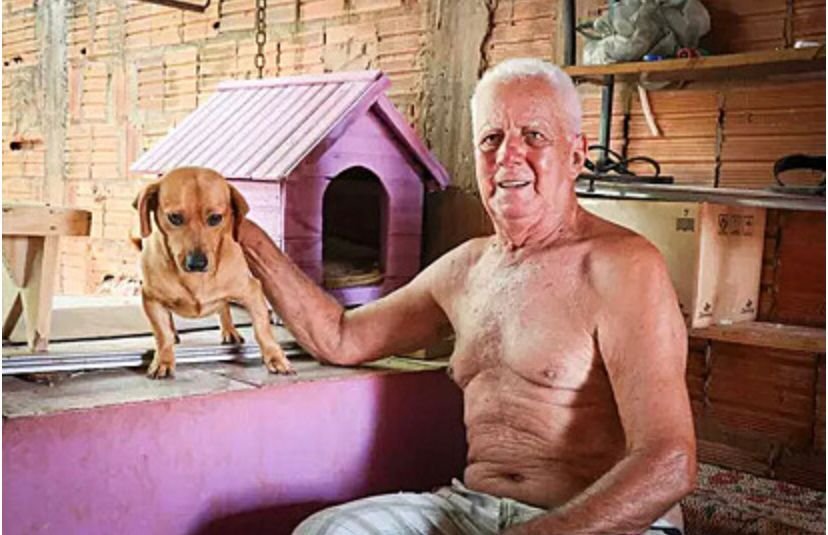 Cachorro ganhou estrutura para olhar os acontecimentos da rua