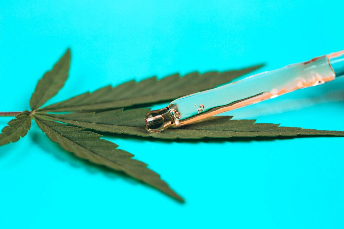 Chineses já fumavam maconha há 2.500 anos, segundo estudo