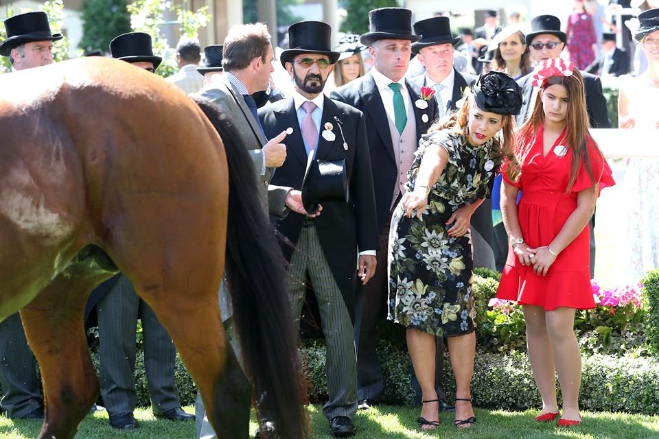 Homens de terno, uma mulher de roupa preta e uma adolescente de vestido vermelho olham um cavalo de corrida