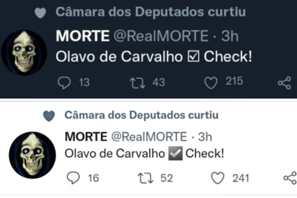 camara - Olavo de Carvalho