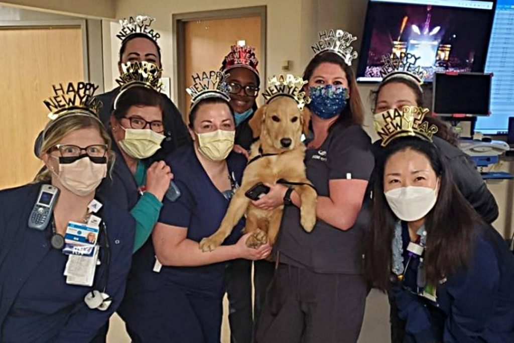 In the photo we have a caramel-colored golden retriever who is being held by two women on his lap.  In all, seven women dressed in dark blue surgical pajamas, masks and a crown written Happy New Year are featured in the photo.