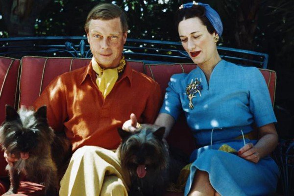 Fotografia colorida de casal sentado com cachorros