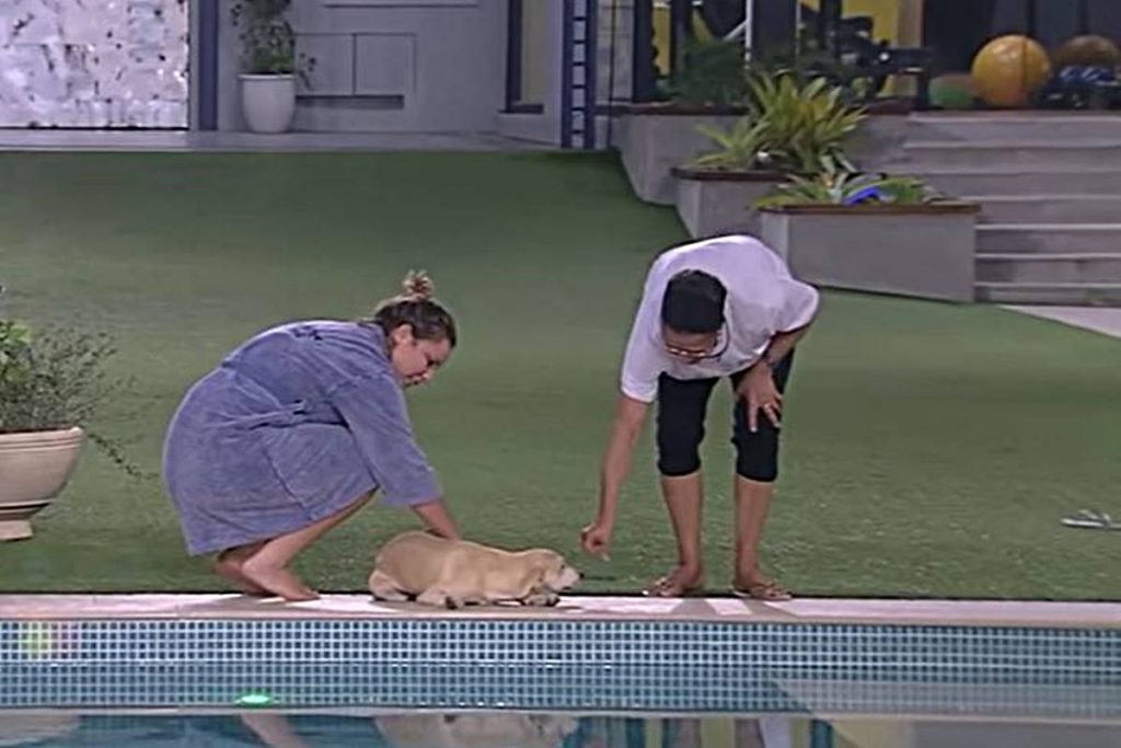Na foto temos uma cadela caramelo na beira da piscina enquanto uma mulher loira de roupao azul acaricia ela de um lado e uma senhora com camiseta branca e calça preta se aproxima para fazer carinho do outro lado
