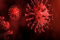 Estudo diz que reinfecção de Covid ainda é perigosa, mesmo com vacina