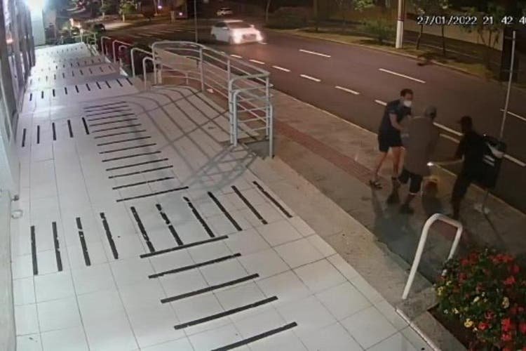 Cão de raça é roubado em Florianópolis durante caminhada