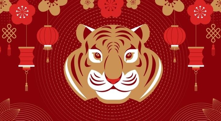 Google comemora Ano Novo chinês e Tigre protagoniza página inicial - NSC  Total