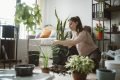 Plantas em casa