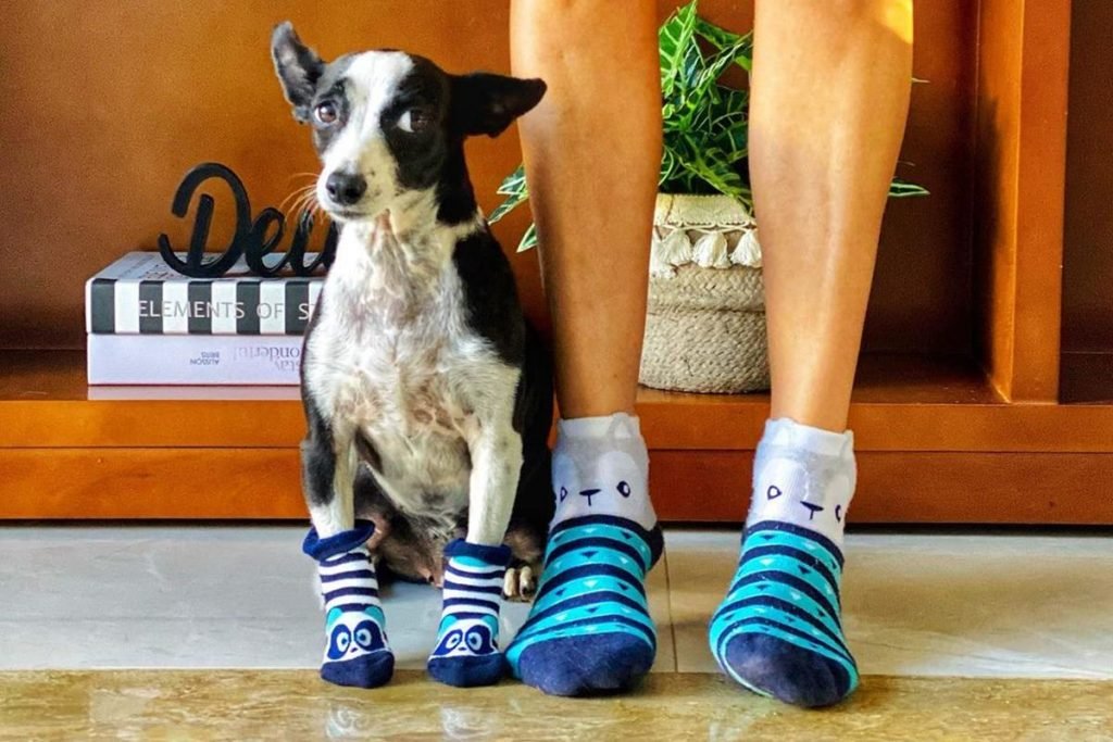 Na fotos vemos uma cachorra de meia ao lado dos pes de uma mulher de meias