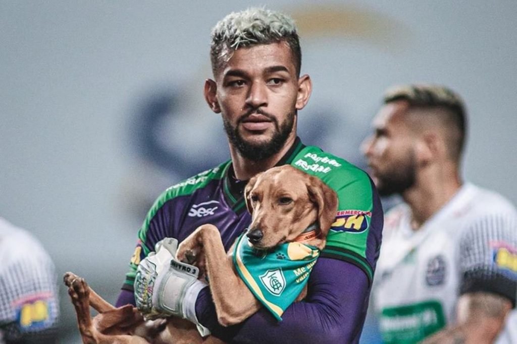 Jogadores entram em campo com cachorros de abrigo no colo; assista - Lance  - R7 Futebol