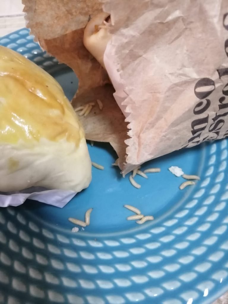 morador do Guará encontra larvas em lanche de padaria