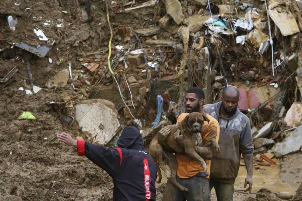 volutário carrega cachorro após avalanche morro em Petrópolis no rio de janeiro