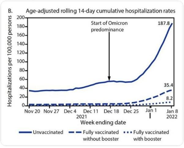 Gráfico da taxa de hospitalização por Covid em Israel. Linha azul marca o crescimento dos casos entre o dia 20 de novembro e 8 de janeiro