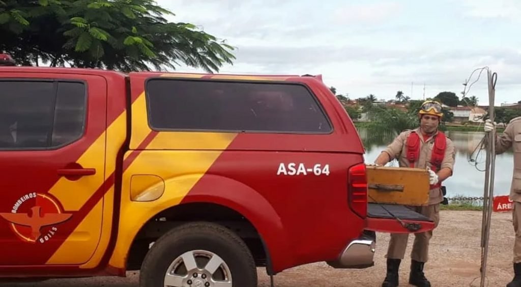Bombeiro captura jacaré em lagoa de Porangatu, Goiás