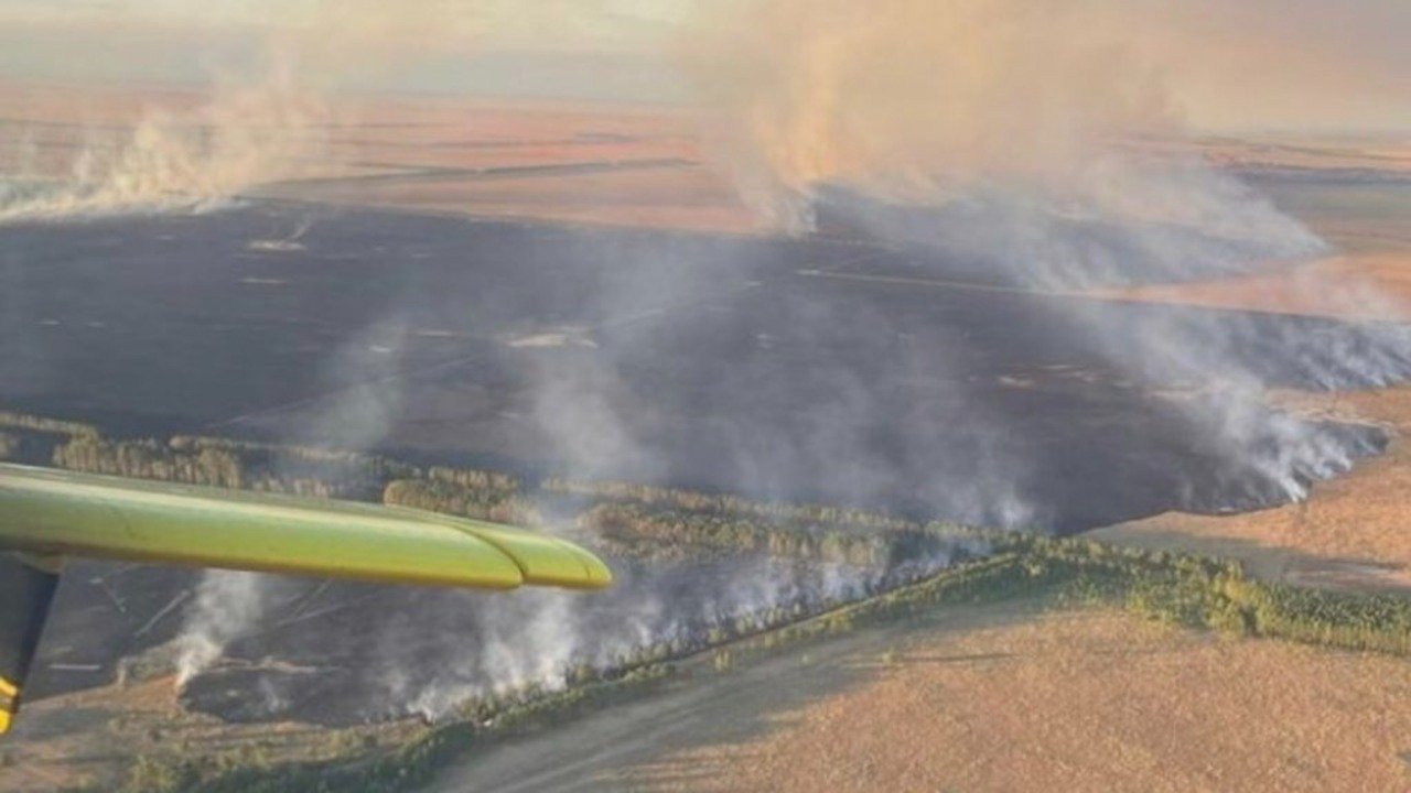 Incêndios florestais arrasam nordeste da Argentina